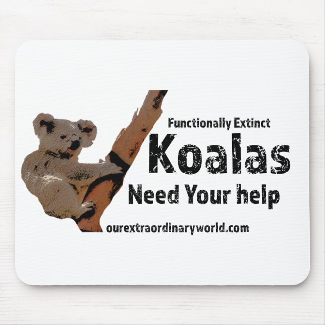 Spara Koalas Musmatta (Framsidan)