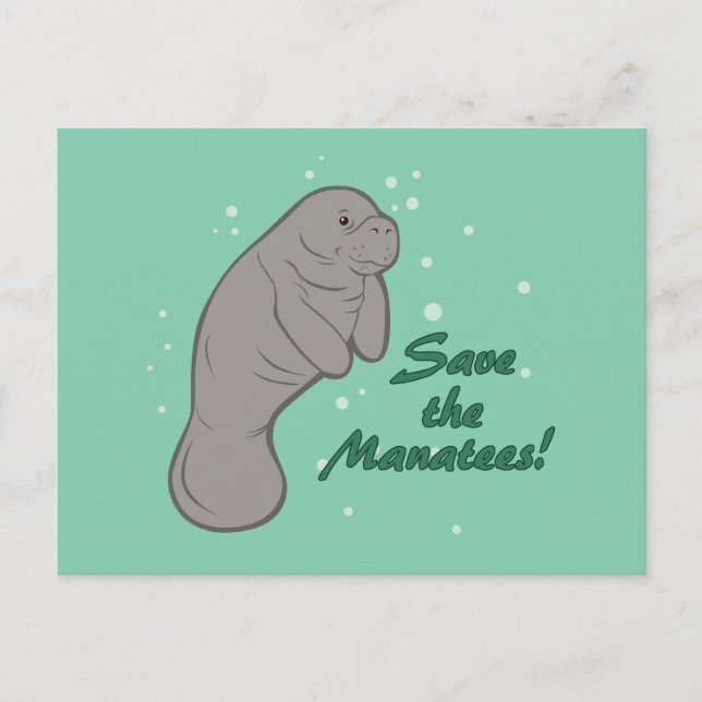 Spara Manatees! Vykort (Framsida)