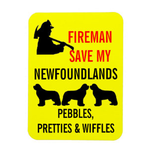 Spara min TRE som Newfoundlands avfyrar säkerhet Magnet