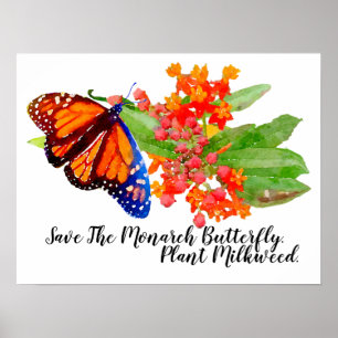 Spara Monarch Butterfly. Plant Milkweed. Poster