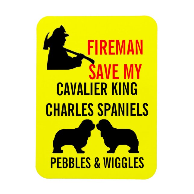 Spara My Two Cavalier Kung Charles Spain Hundar Magnet (Vertikal)