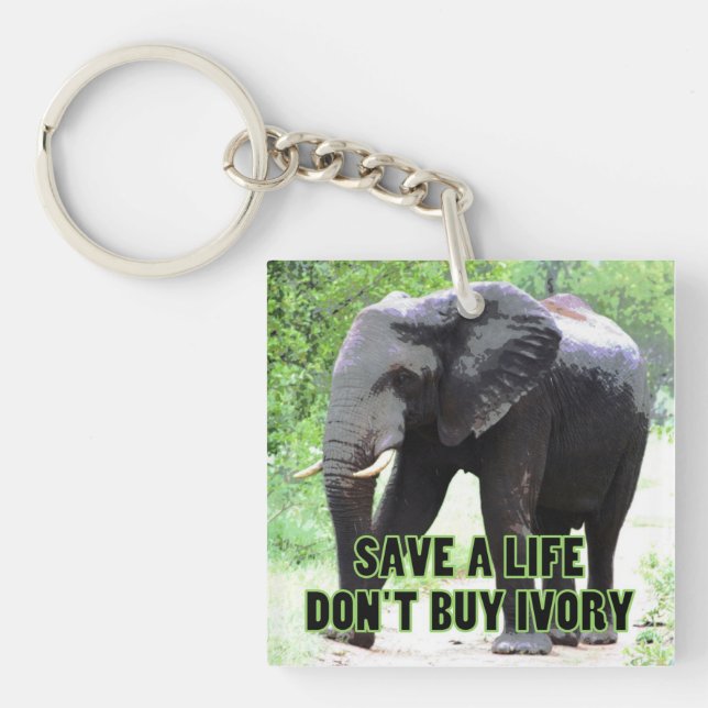 Spara och Elephants liv, köp inte Elfenbenskusten (Framsidan)