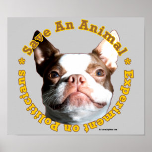 Spara och Poster av animaliska Hund