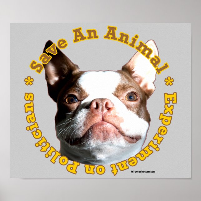 Spara och Poster av animaliska Hund (Framsidan)