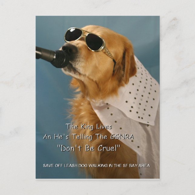 Spara off-Leash Hund Walking Senator Boxer Vykort (Framsida)