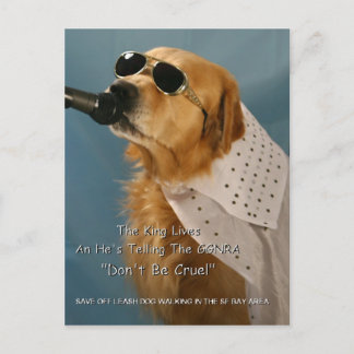 Spara off-Leash Hund Walking Senator Feinstein Vykort