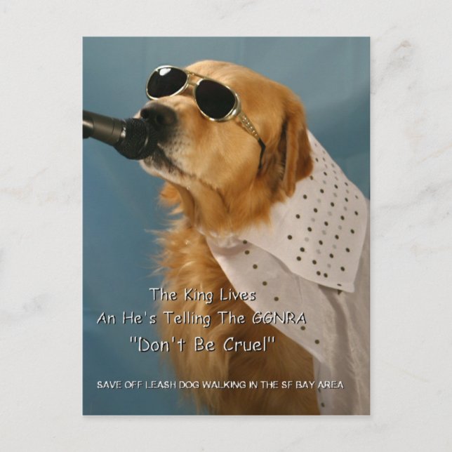 Spara off-Leash Hund Walking Senator Feinstein Vykort (Framsida)