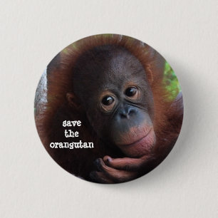 Spara orangutansna! knapp