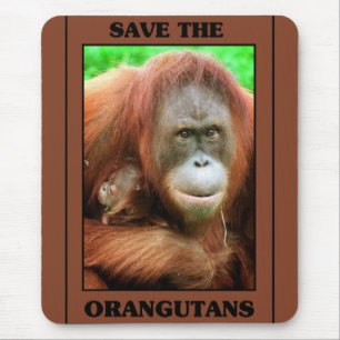 Spara orangutansna musmatta