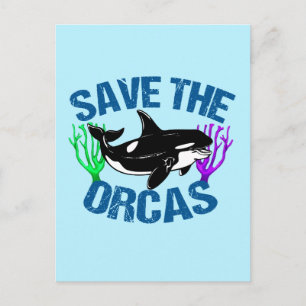 Spara Orcas Cute Vykort