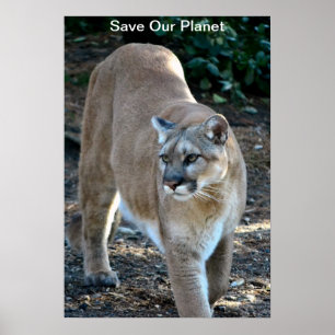 "Spara our Planet", Poster fotfoto av Cougar Photo