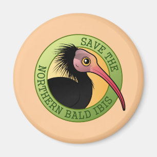 Spara på norra Bald Ibis Magnet