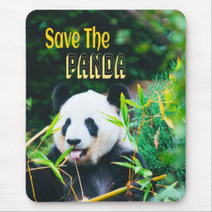 Spara Panda Musmatta