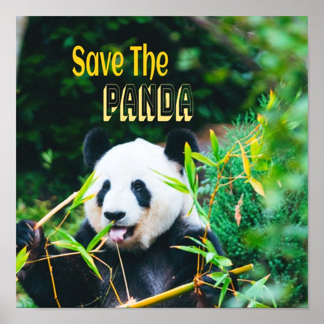 Spara Panda Poster (Framsidan)