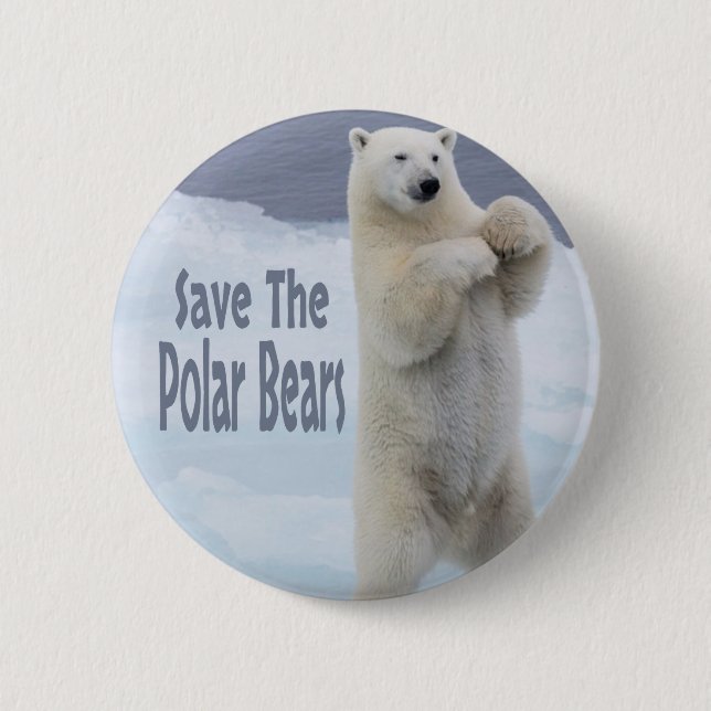 Spara Polarna Bears Knapp (Framsida)