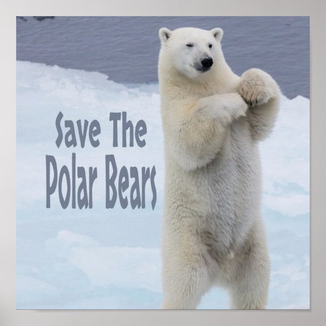 Spara Polarna Bears Poster (Framsidan)