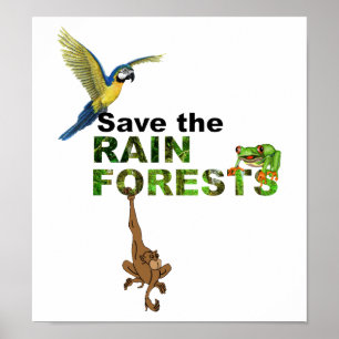 Spara rainforestsna poster
