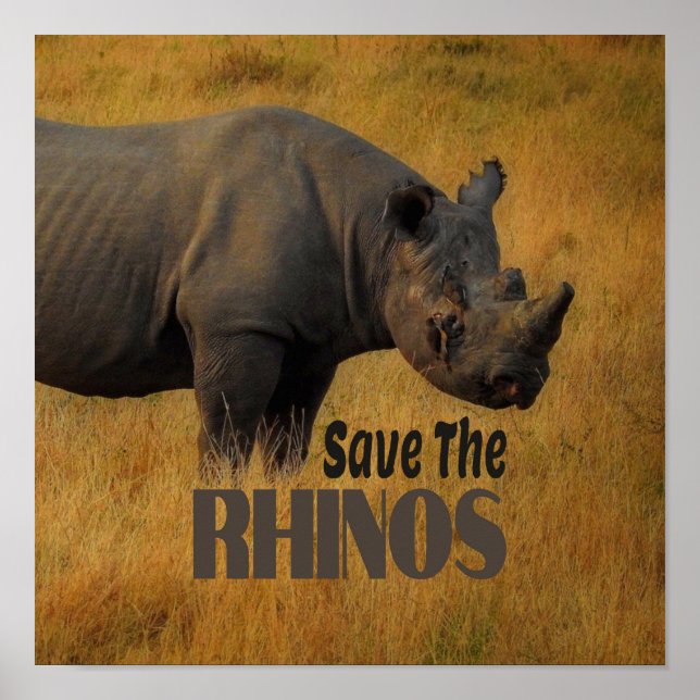Spara Rhinos Poster (Framsidan)