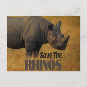 Spara Rhinos Vykort