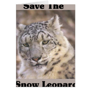 Spara Snö Leopard Hälsningskort