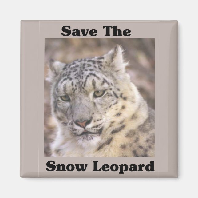 Spara Snö Leopard Magnet (Framsidan)