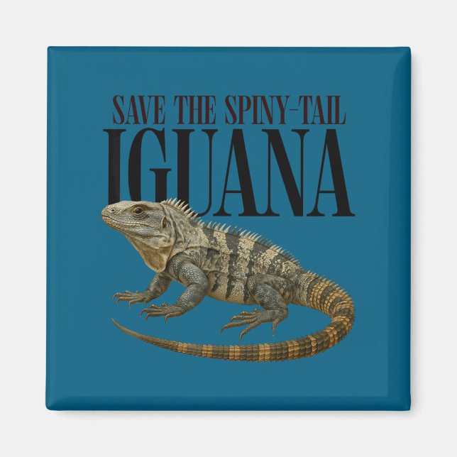 Spara Spiny Tail Iguana Reptil Design Magnet (Framsidan)