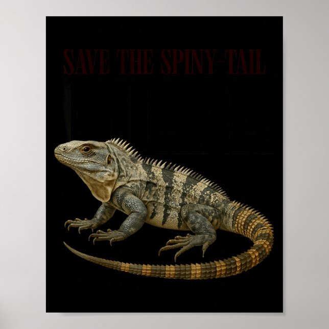 Spara Spiny Tail Iguana Reptil Poster (Framsidan)