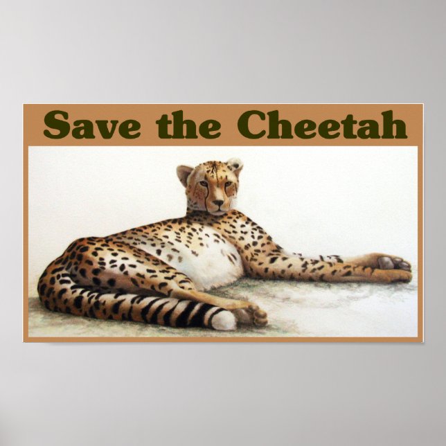 Spara till Cheetah Poster (Framsidan)