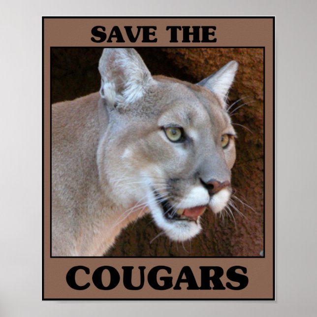 Spara till Cougar Poster (Framsidan)