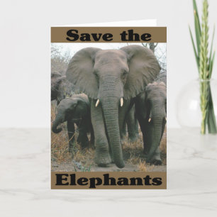 Spara till elefanterna kort