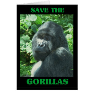 Spara till Gorillas Hälsningskort