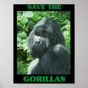 Spara till Gorillas Poster