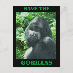 Spara till Gorillas Vykort