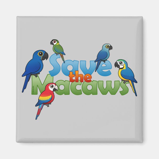 Spara till Macaws Magnet (Framsidan)