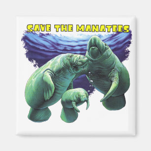 Spara till Manatees Magnet