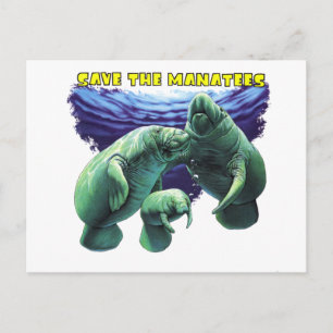 Spara till Manatees Vykort