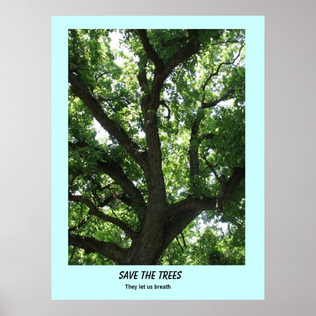 Spara träd-affisch poster (Framsidan)