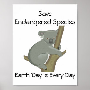 Spara-utrotningshotade arter Koala Poster