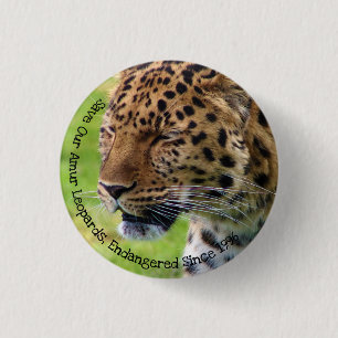 Spara Vår Amur Leopards Knapp