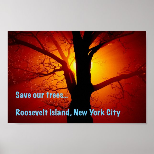 Spara vår träd, Roosevelt Island, New York City Poster (Framsidan)