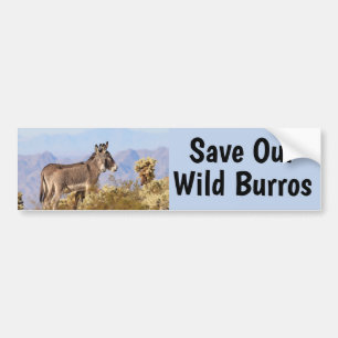 Spara Vår Vild Burros Bildekal