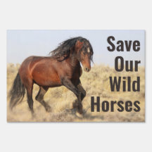 Spara Vår Vild Horses