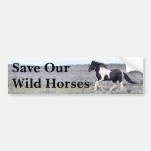 Spara Vår Vild Horses Bildekal