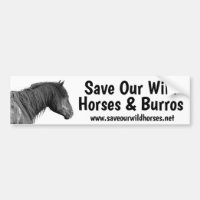 Spara Vår Vild Horses