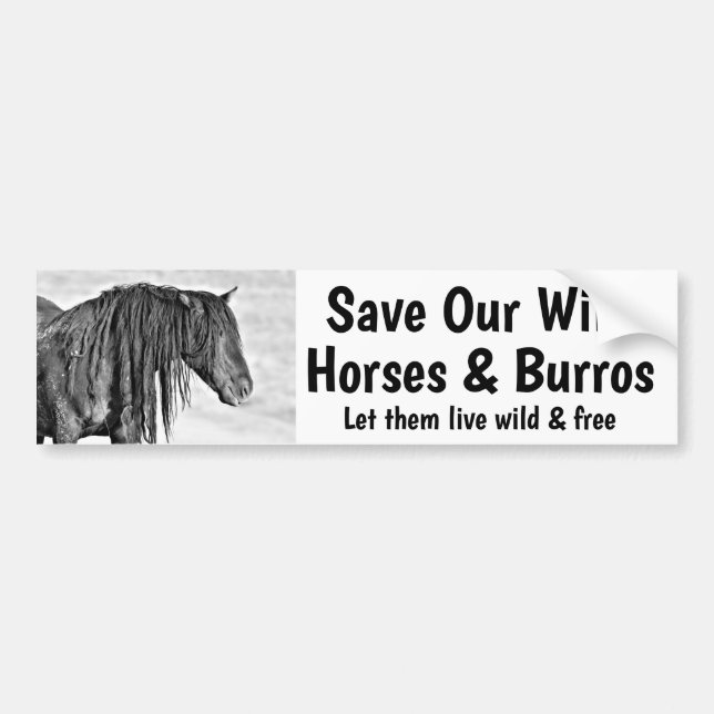 Spara Vår Vild Horses Bildekal (Framsidan)