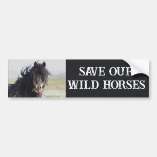 Spara Vår Vild Horses Jetstream Bildekal