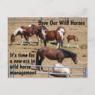 Spara Vår Vild Horses Kampanj Vykort