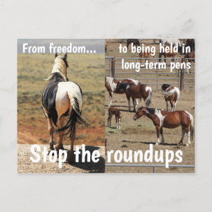 Spara Vår Vild Horses Kampanj Vykort