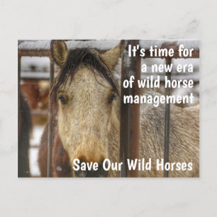 Spara Vår Vild Horses Kampanj Vykort