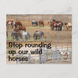 Spara Vår Vild Horses Kampanj Vykort